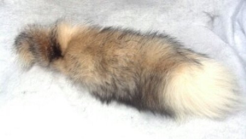Real crystal fox tail key - fox,