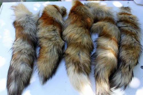 Real red fox fur - red,