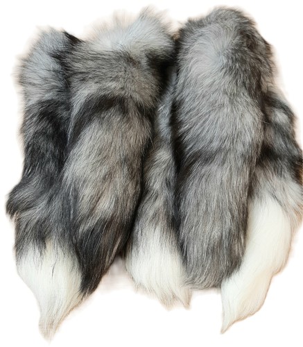 Tanned indigo fox tail - fox,